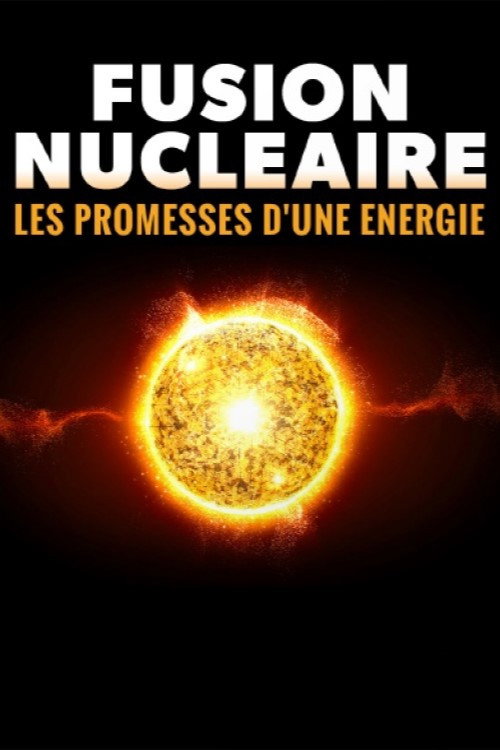 Nuclear Fusion: The Promise of a New Energy Source