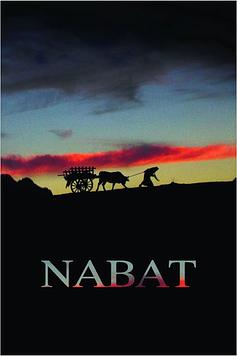 Nabat