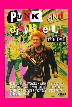 Punk and Disorderly - The DVD