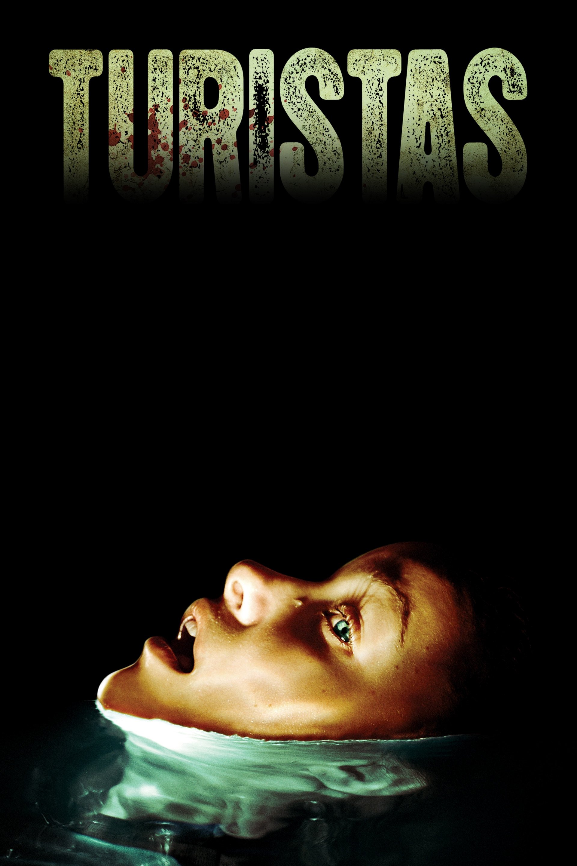 The Human Centipede (First Sequence)