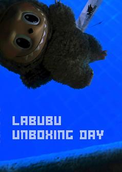 Labubu Unboxing Video