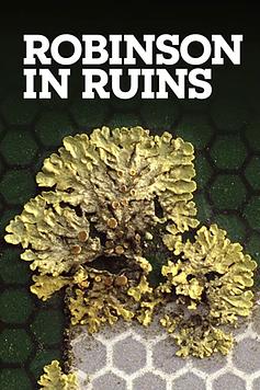 Robinson in Ruins