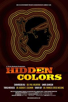 Hidden Colors
