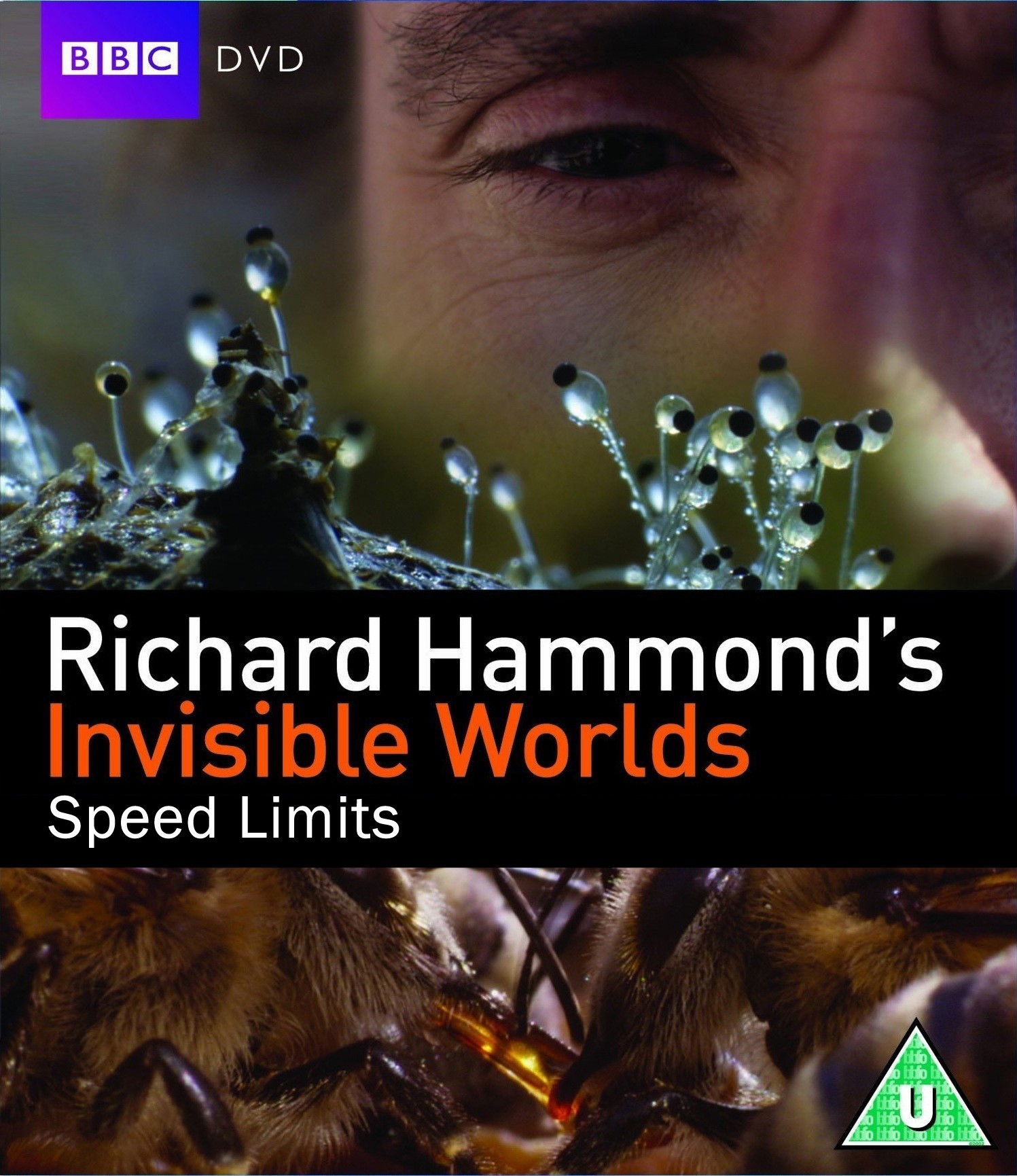 Richard Hammond's Invisible Worlds: Speed Limits
