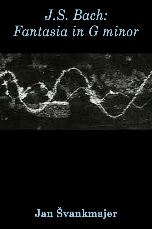 J.S. Bach: Fantasia in G minor