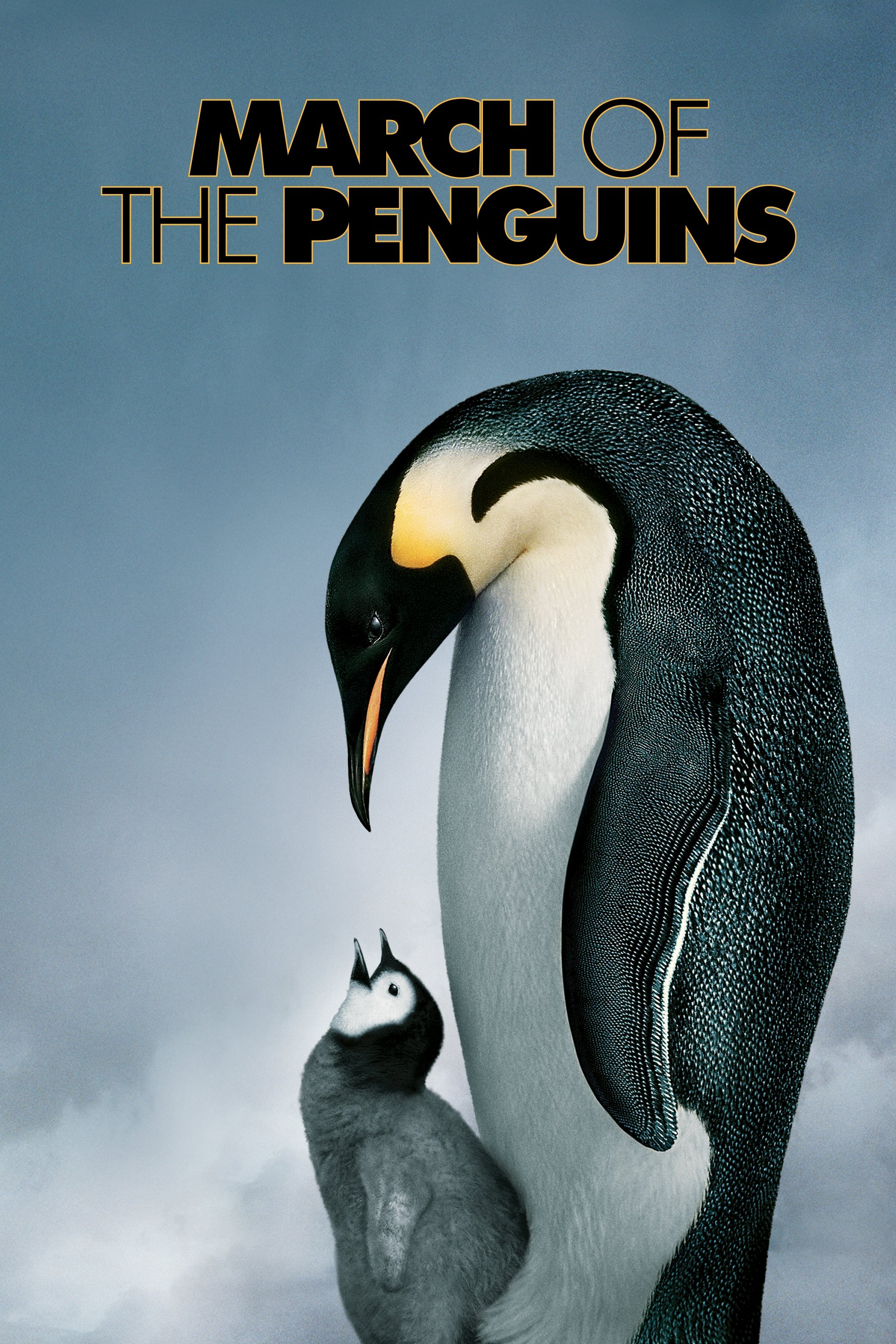 Mr. Popper's Penguins