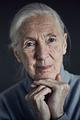 Jane Goodall