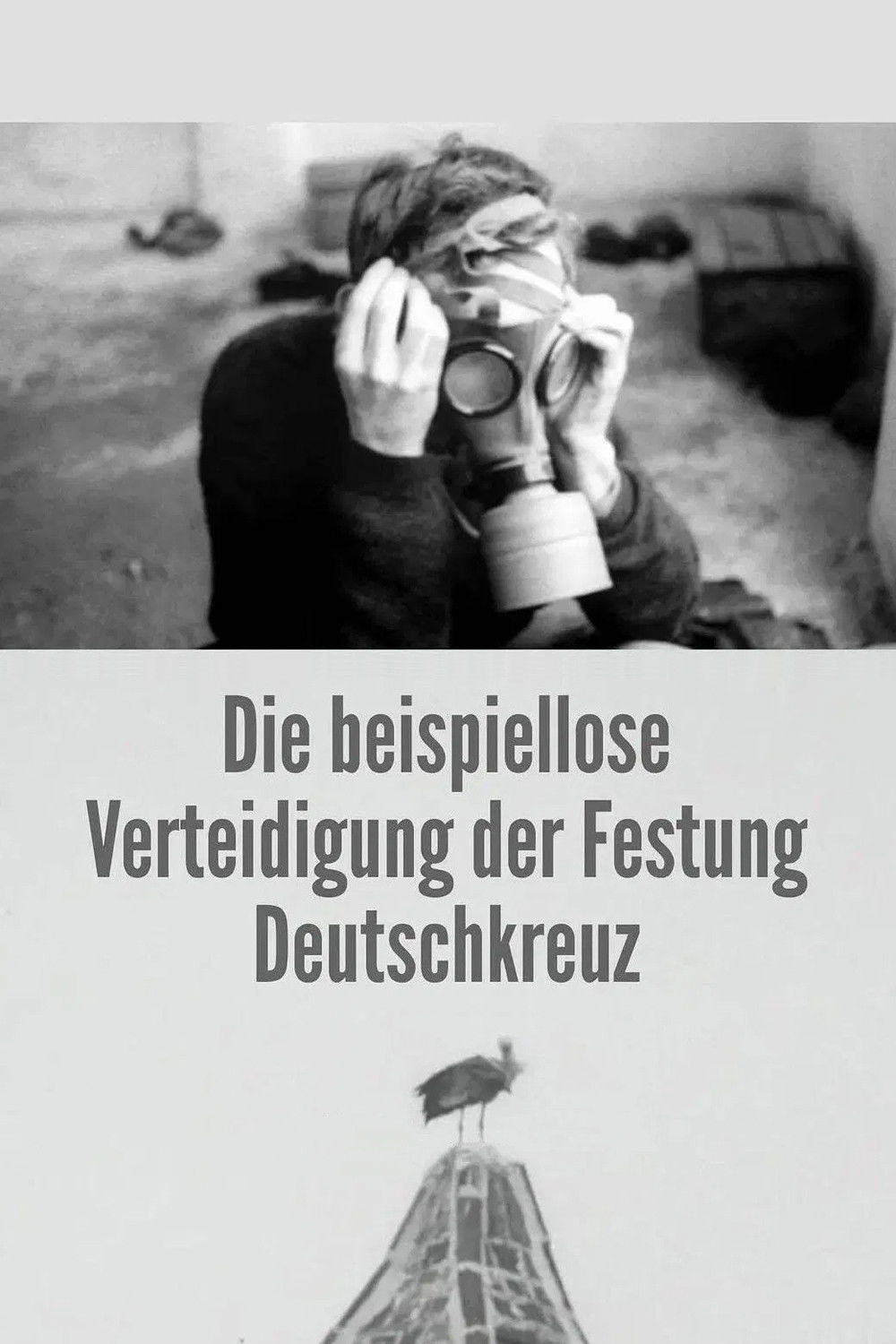 The Unprecedented Defence of the Fortress Deutschkreuz