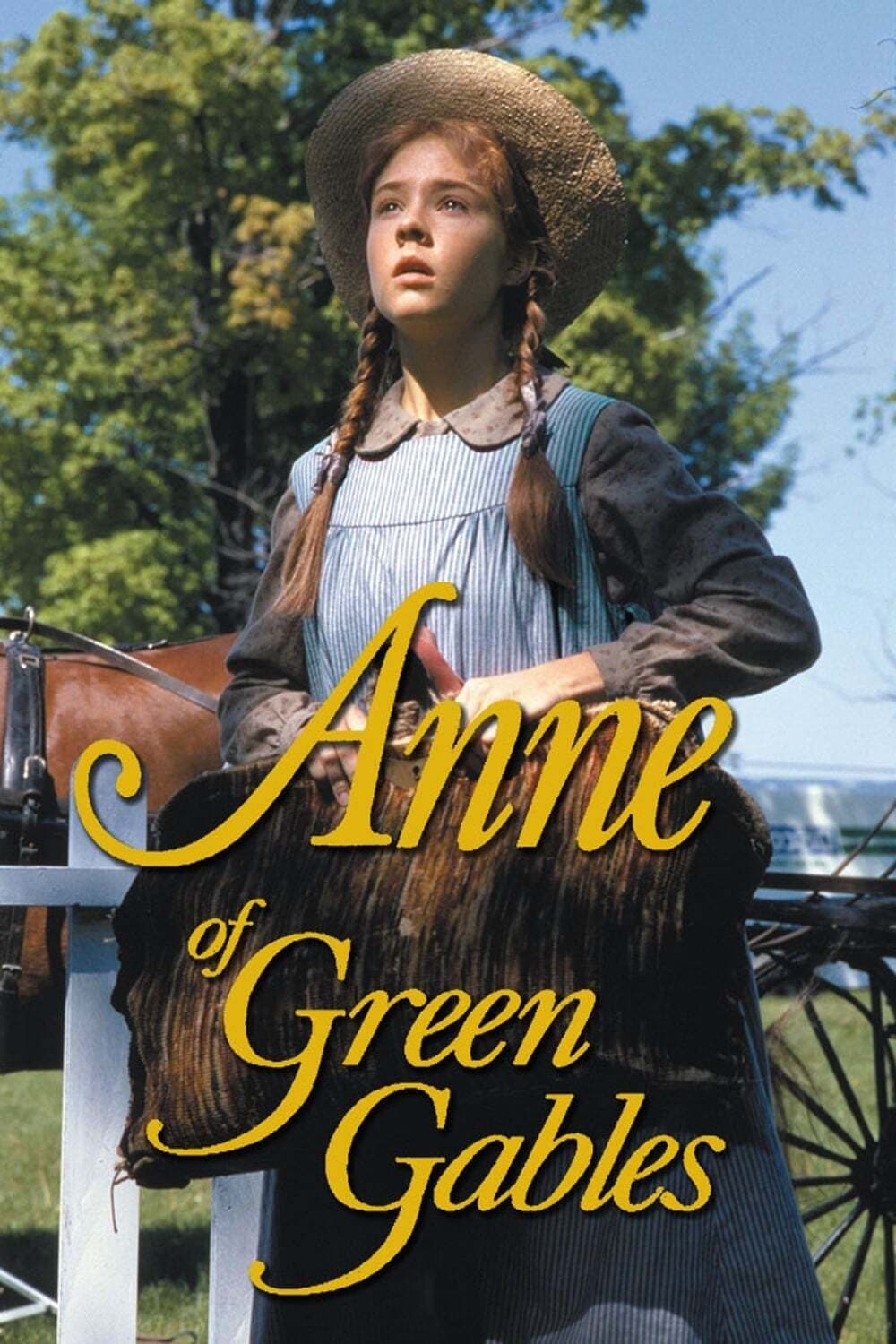 Anne of Green Gables: The Sequel