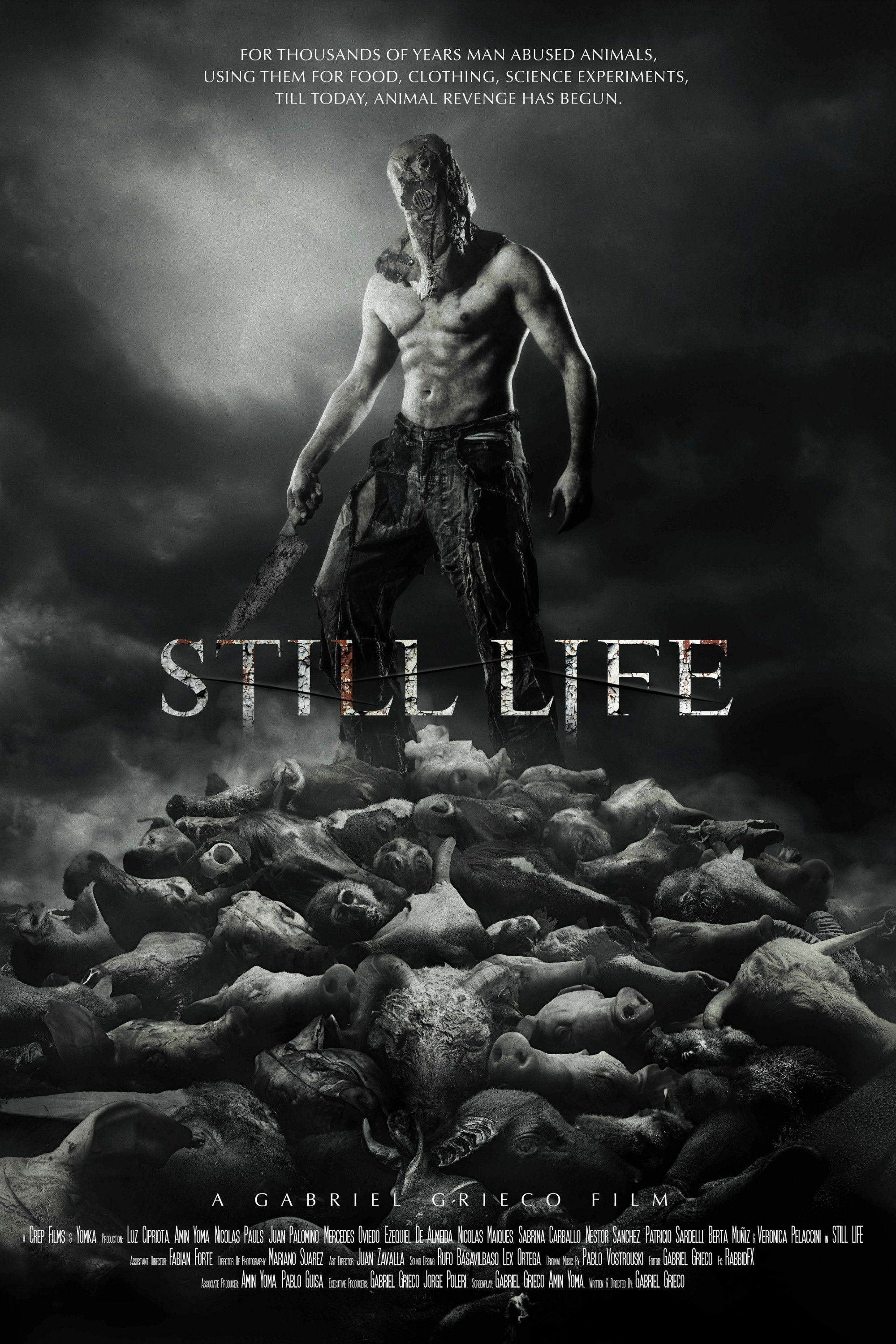 Still Life