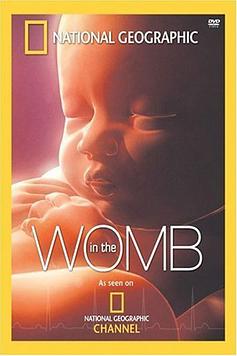 In The Womb