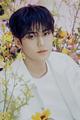 Kim Min-gyu