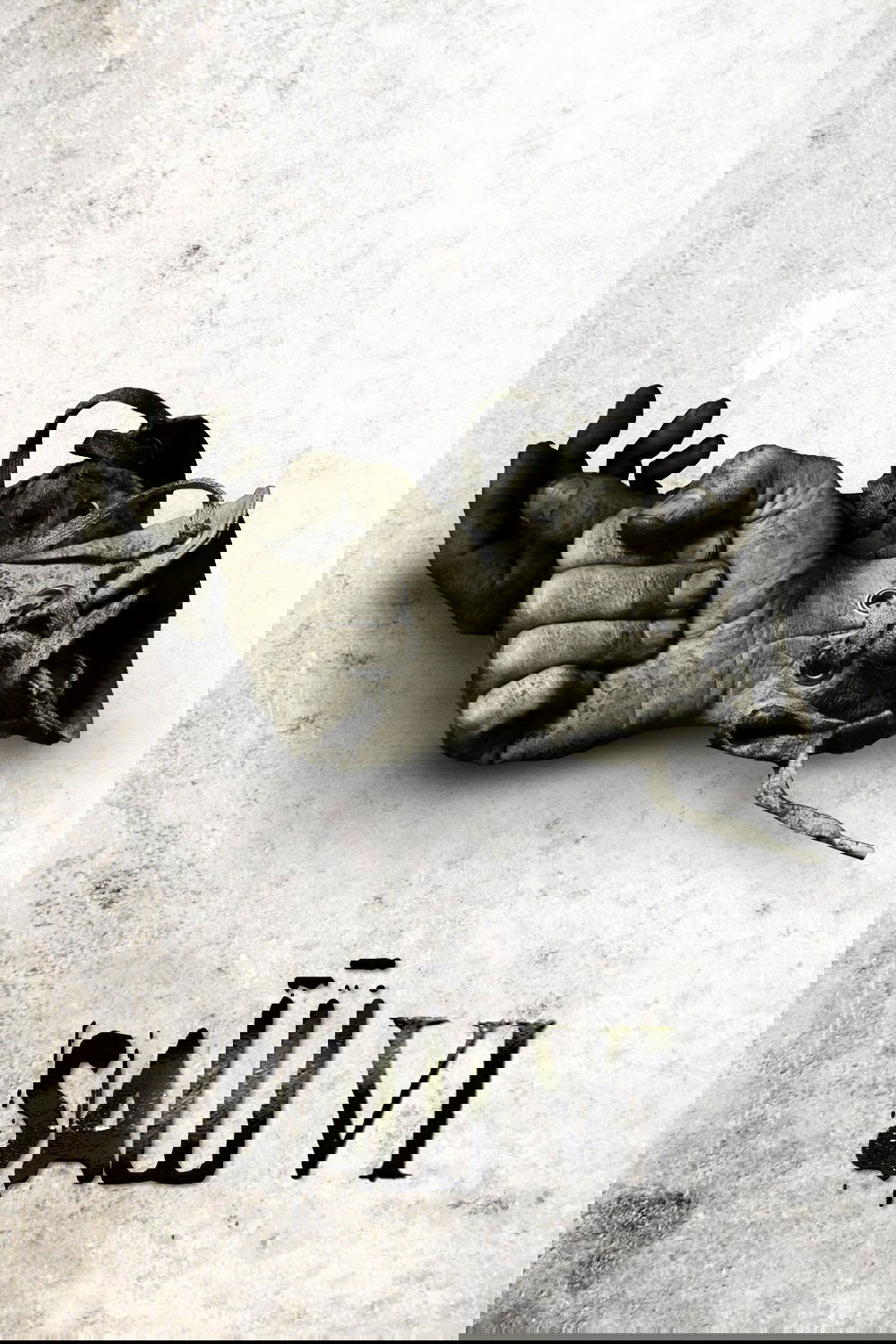 The Silence of the Lambs