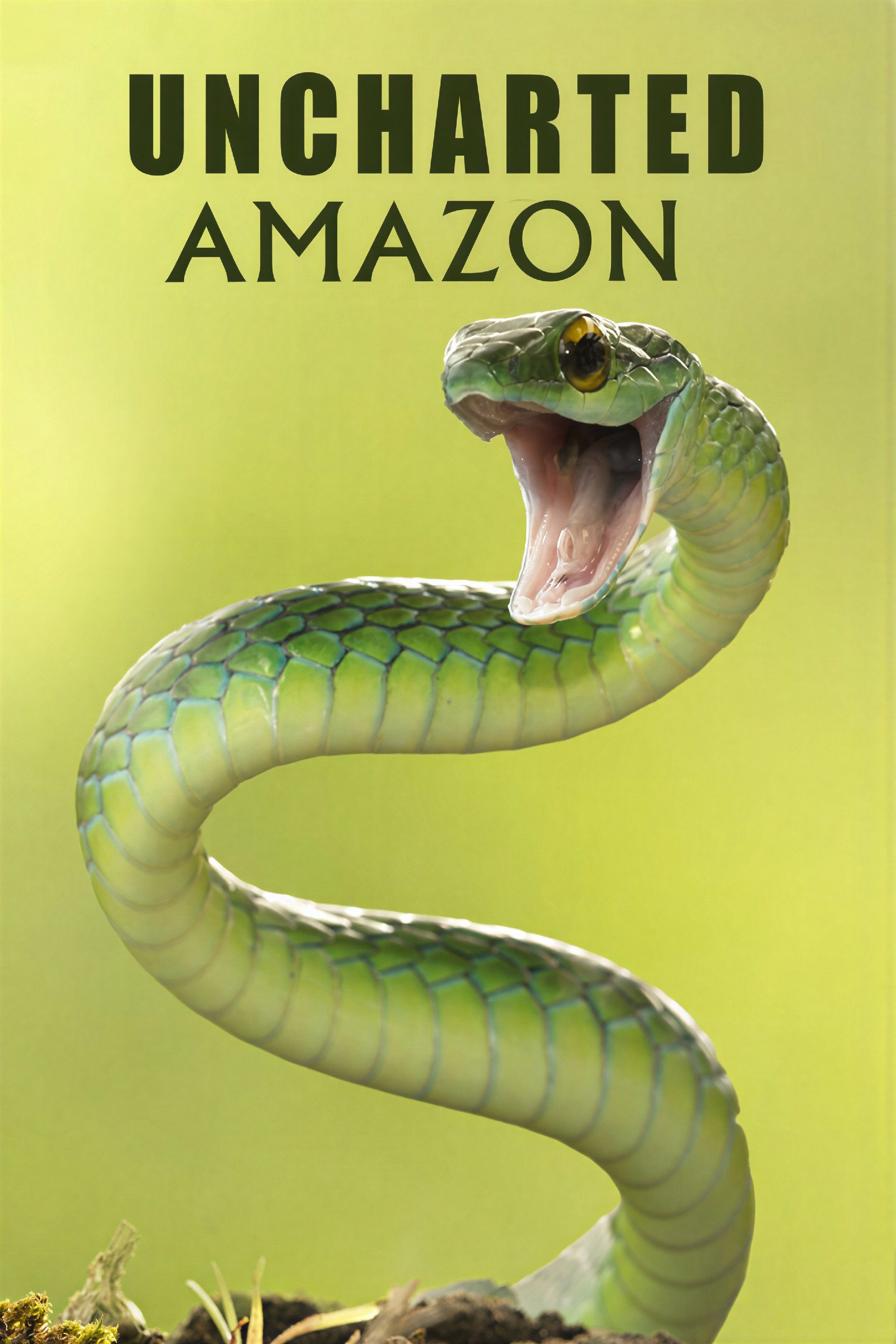 Uncharted Amazon