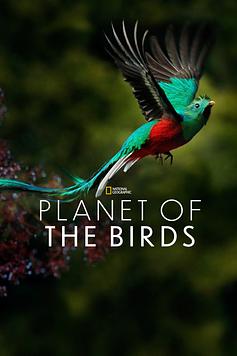 Planet of the Birds