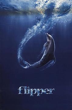 Flipper