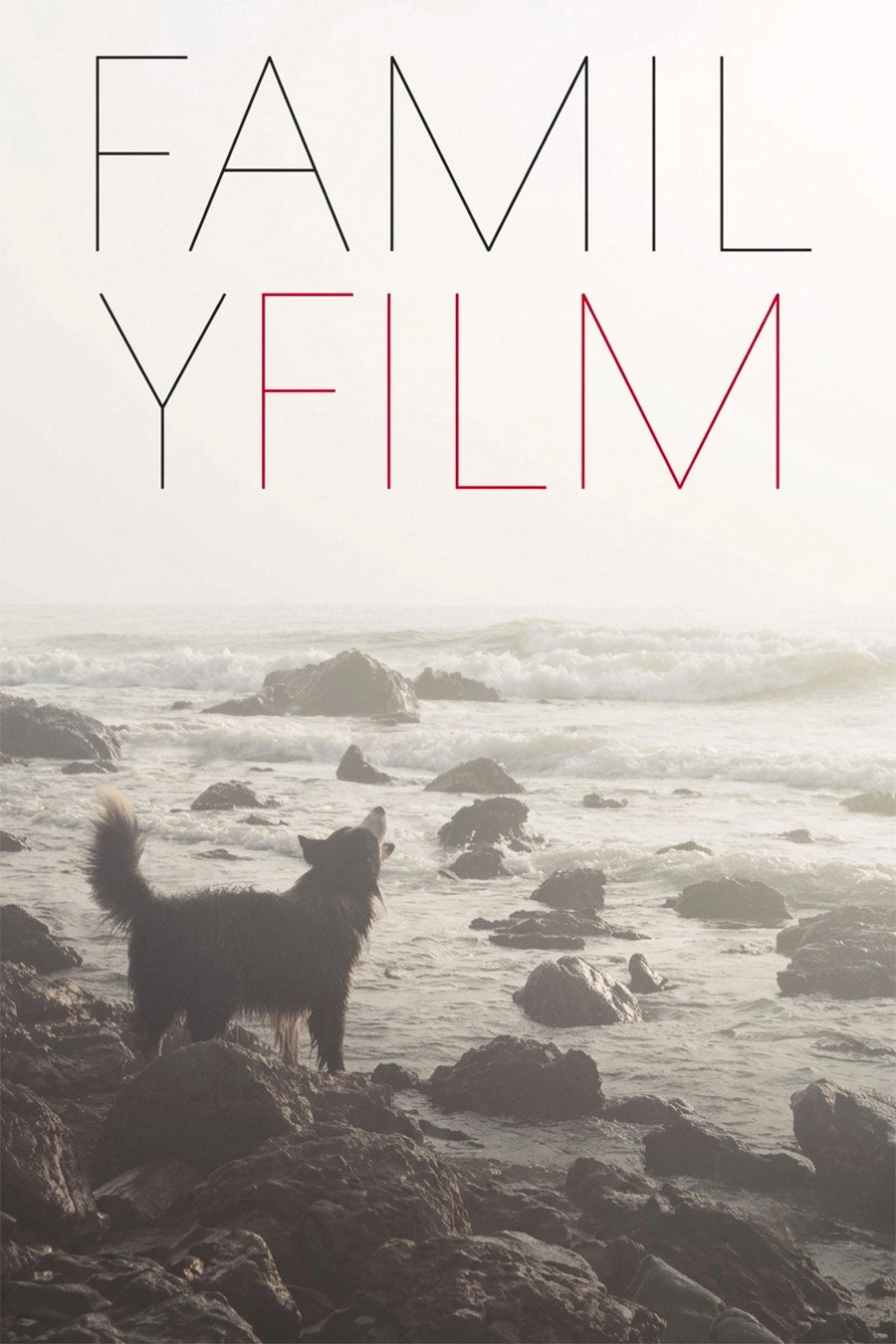 Family Film