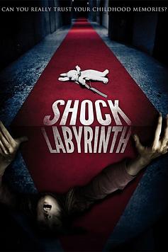 The Shock Labyrinth