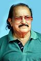 T. P. Madhavan