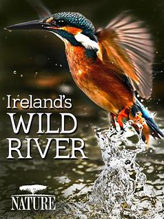 Ireland's Wild River