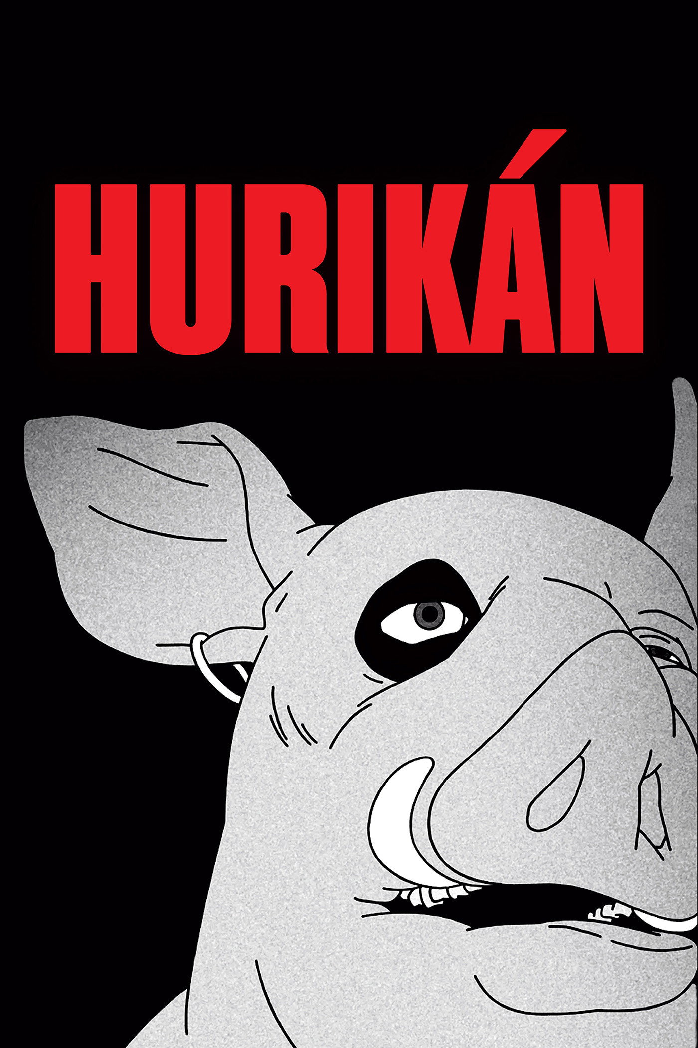 Hurikán