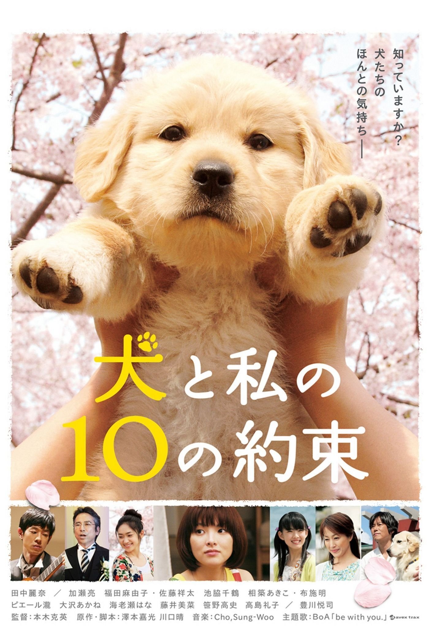 Hachi: A Dog's Tale