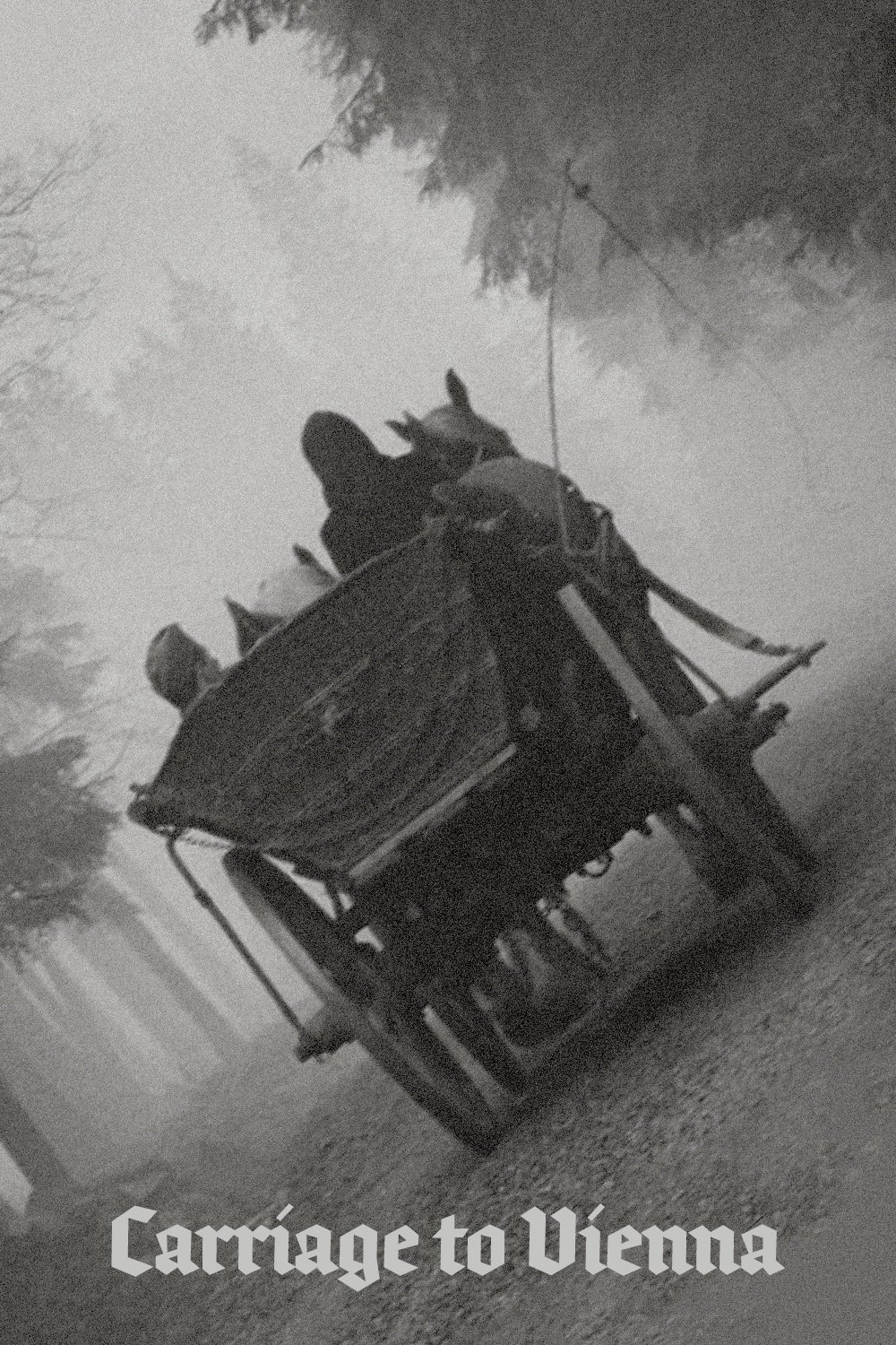 Carriage to Vienna